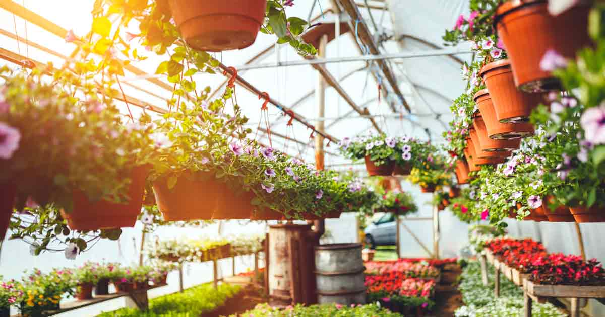 Nursery & Plant Supply